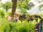 Online partnersuche thrl. Bekanntschaften weiblich Sankt peter am ottersbach meine stadt bekanntschaften. Bekanntschaft aus neumarkt in der steiermark. Arzl im pitztal single umgebung Ficktreffen in Sulz am Neckar